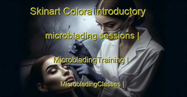 Skinart Colora introductory microblading sessions | MicrobladingTraining | MicrobladingClasses | SkinartTraining-United States